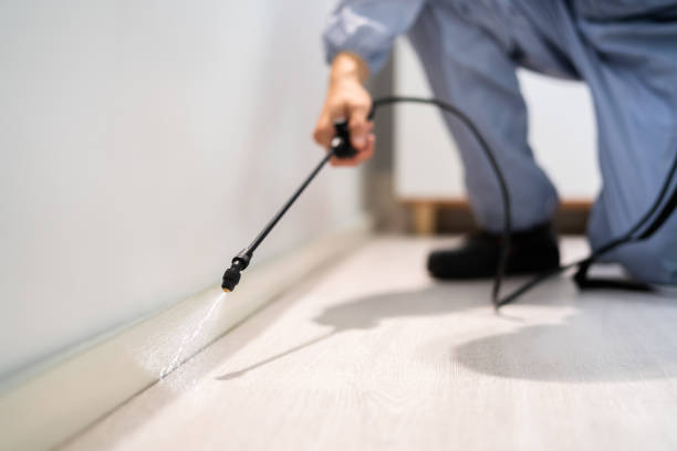 Rodent Entry Point Assessment in Shelburne Falls