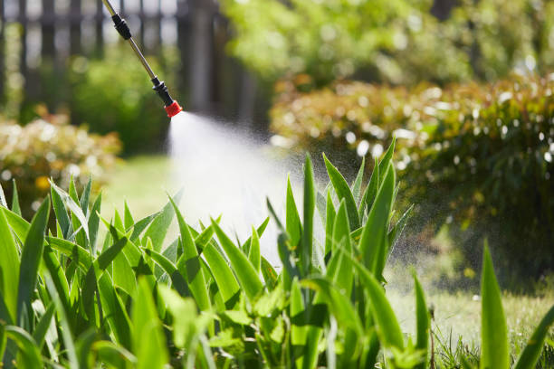 Tamper-Resistant Bait Stations for Rodents in Shelburne Falls