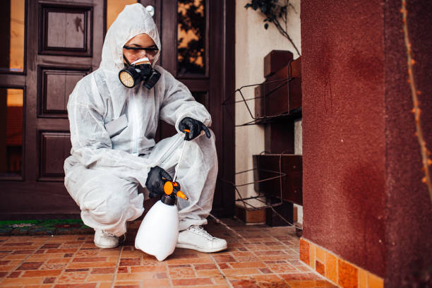 Attic and Crawl Space Rodent Treatment in Shelburne Falls
