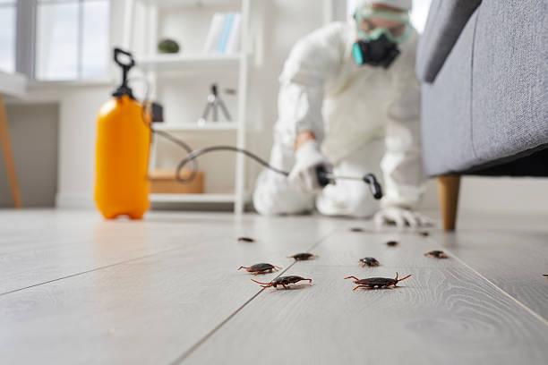 Commercial Rodent Management in Shelburne Falls